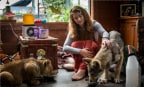 Il lupo e il leone