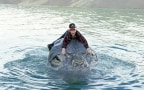 Mee-Shee - Il gigante dell'acqua