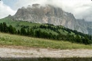 Corsa in montagna. Val di Fassa Running Ciampedie