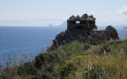 Wild Italy