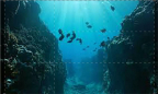 Episodio 2 - Oceano Atlantico - Profondo blu