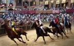 Il Palio di Siena