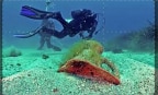 Relitti e segreti - Nel profondo degli abissi