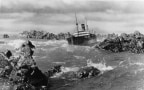 I giganti del mare