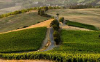 Episodio 1 - Viaggio in Oltrepò