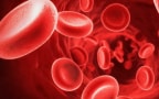 Il meraviglioso mondo del sangue