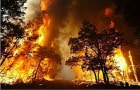 Episodio 71 - Climate crisis - Incendi