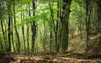 Episodio 3 - Autunno e inverno