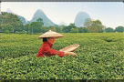 Episodio 3 - Cina - Terra da esplorare