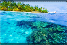 Episodio 3 - Le Seychelles